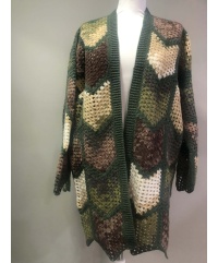 lakshmi-z202