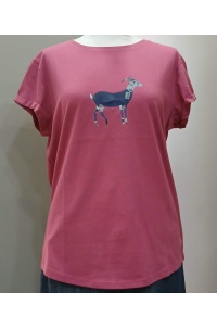 ts-mg-07