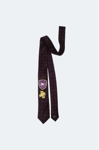 w26006b_tie