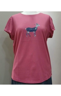 ts-mg-07