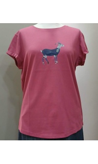 ts-mg-07