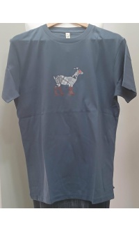 ts-mg-19